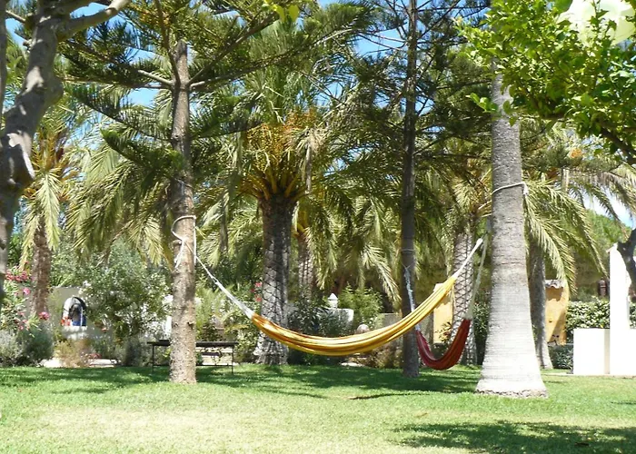 Paraiso Perdido Conil